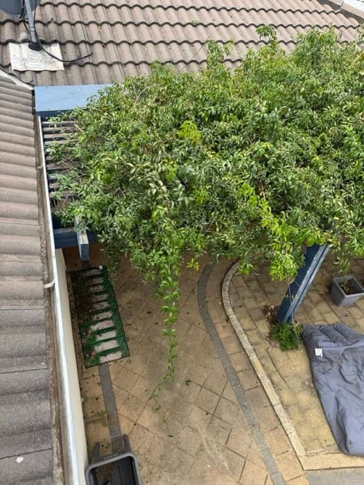 After gutter cleaning