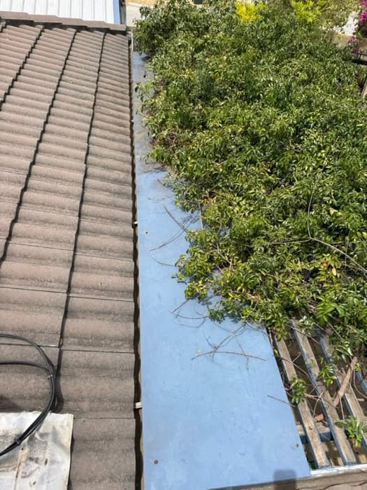 After gutter cleaning - clean gutter