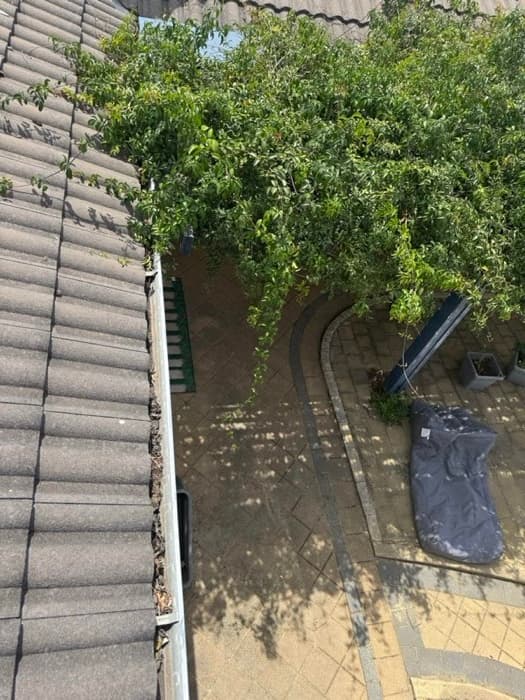 Before gutter cleaning