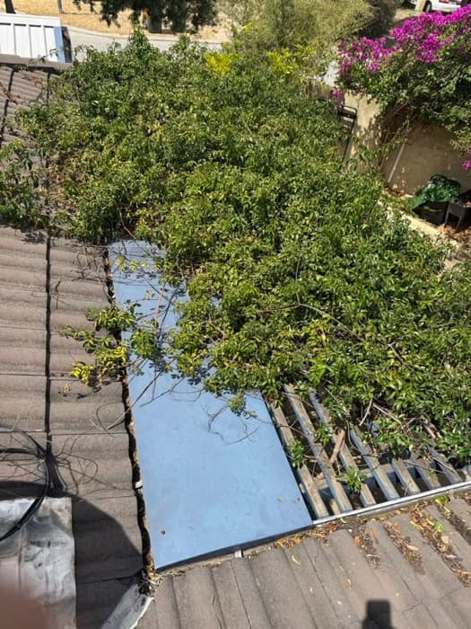 Before gutter cleaning - clogged gutter