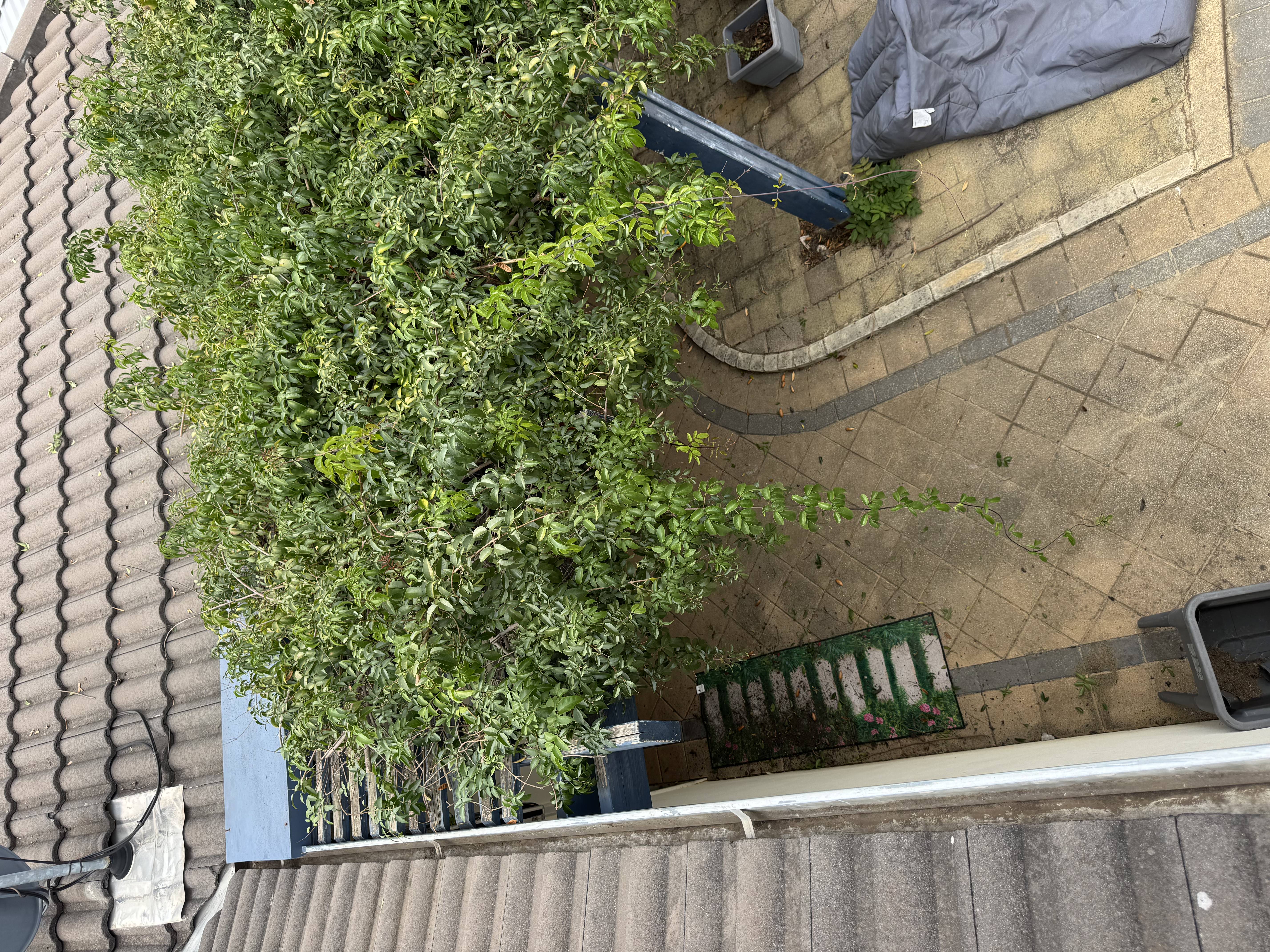 After gutter cleaning