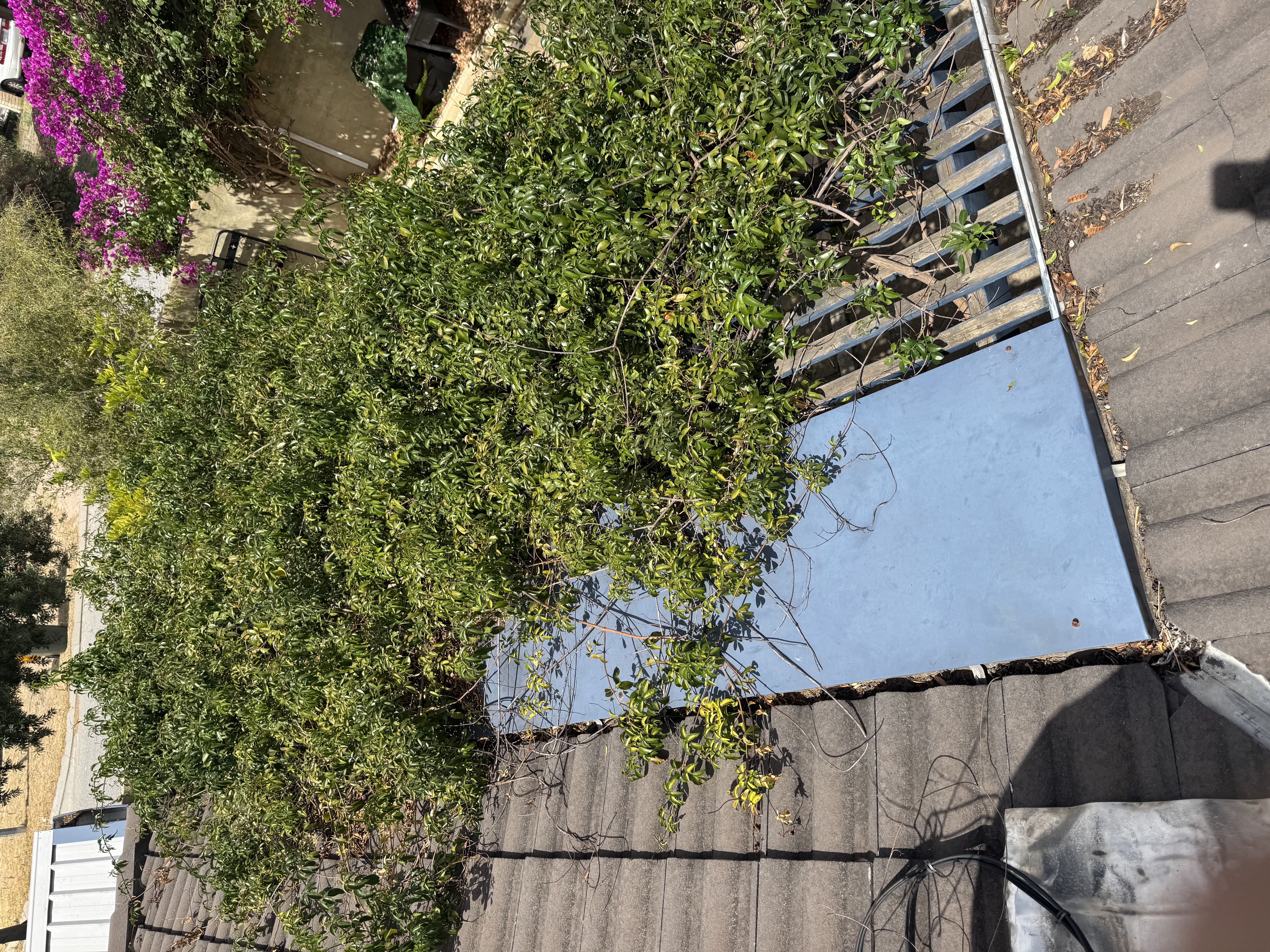 Before gutter cleaning - clogged gutter